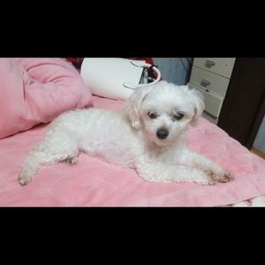 Meet your Posher, Kyu